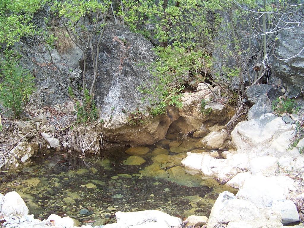 Hostal Sango Sierra De Las Nieves Alozaina Ngoại thất bức ảnh
